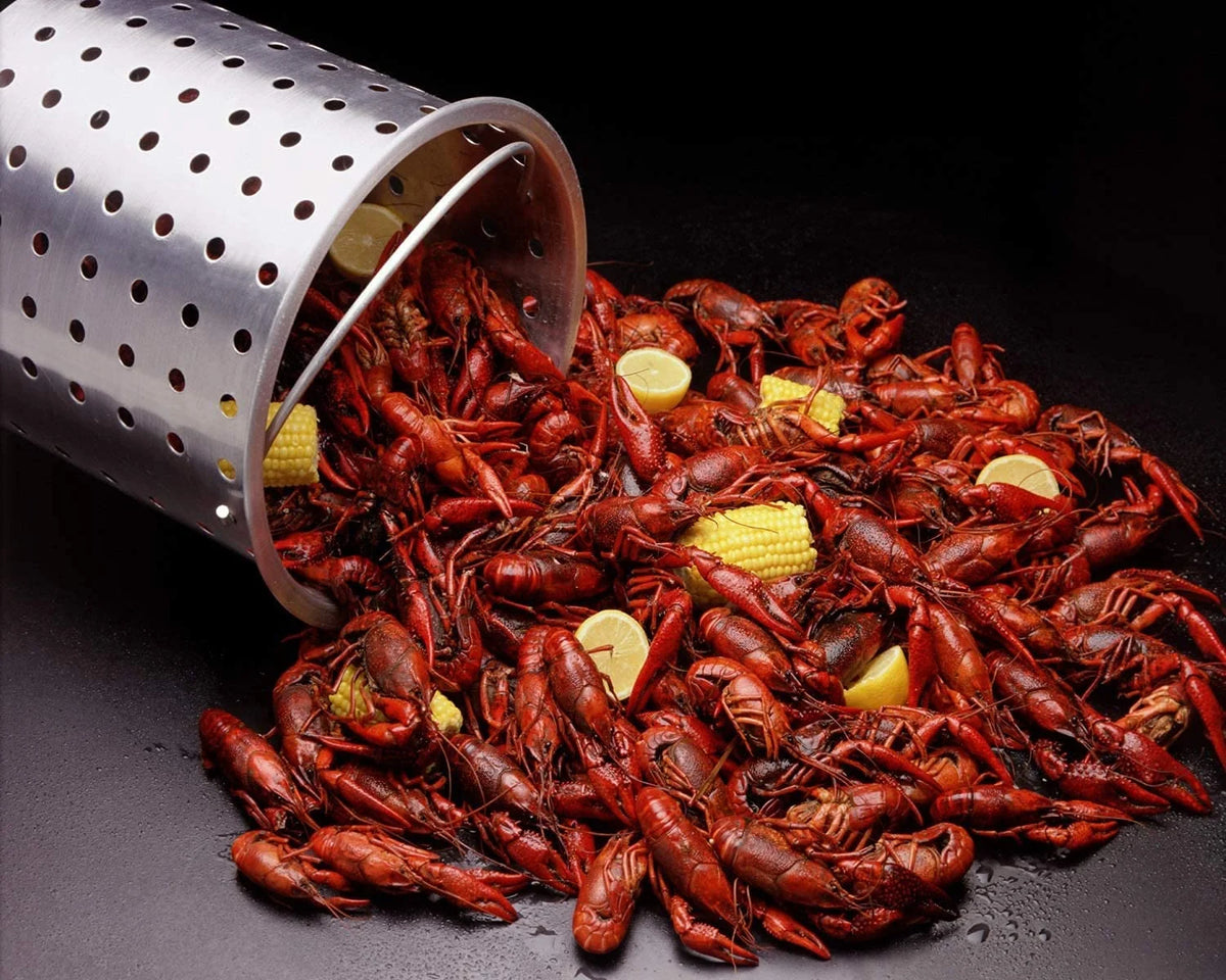 10 Qt Propane Outdoor Fish Fryer Set R225