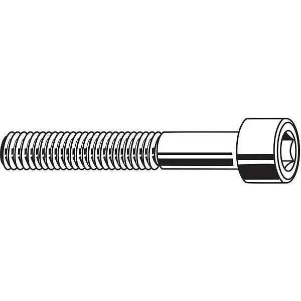 #10-32 Stainless Steel Socket Head Cap Screw C50796